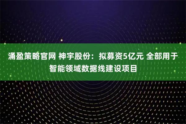 涌盈策略官网 神宇股份：拟募资5亿元 全部用于智能领域数据线建设项目