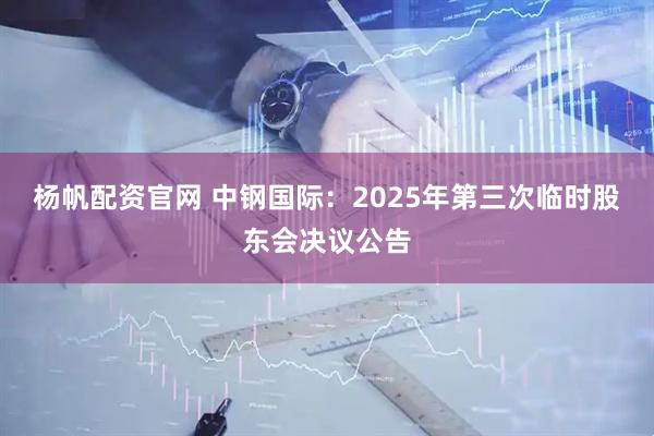 杨帆配资官网 中钢国际：2025年第三次临时股东会决议公告