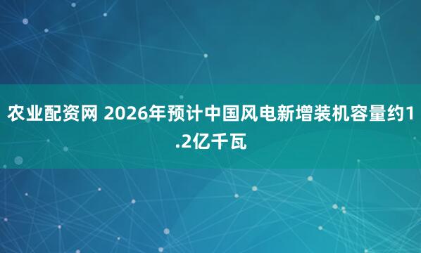 农业配资网 2026年预计中国风电新增装机容量约1.2亿千瓦