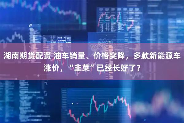 湖南期货配资 油车销量、价格突降，多款新能源车涨价，“韭菜”已经长好了？